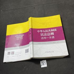 中华人民共和国民法总则适用一本通