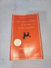 The Curious Incident of the Dog in the Night-Time