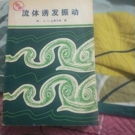 流体诱发振动