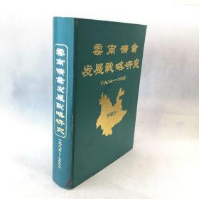 云南矿业发展战略研究（1986-2000）