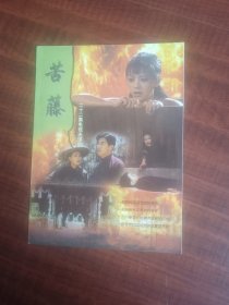 影视剧宣传册，22集电视连续剧苦藤节目单