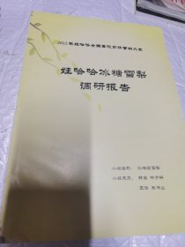 2012年娃哈哈全国高校市场营销大赛 娃哈哈冰糖雪梨调研报告