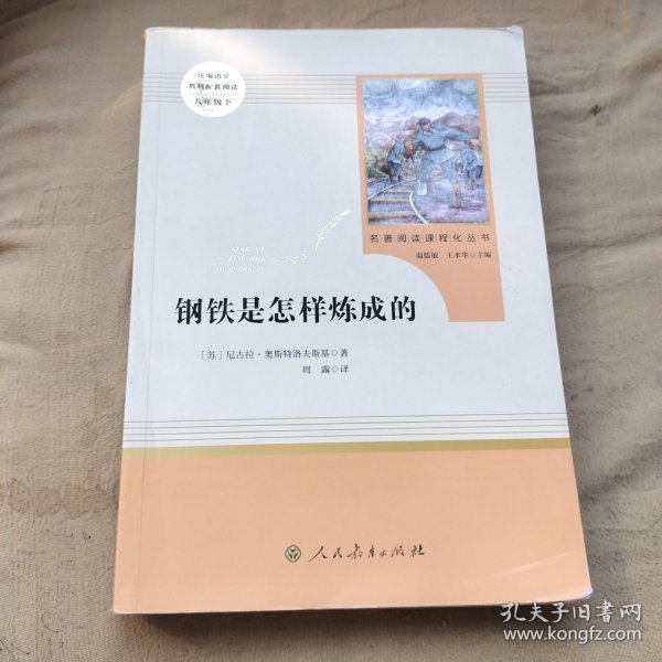 统编语文教材配套阅读 八年级下：钢铁是怎样炼成的/名著阅读课程化丛书