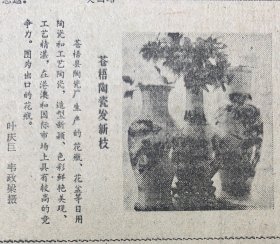 苍梧县陶瓷厂生产的花瓶花盆日用工艺陶瓷在港澳和国际市场
广西日报
