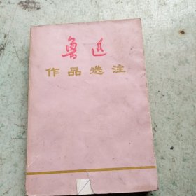 鲁迅作品选注