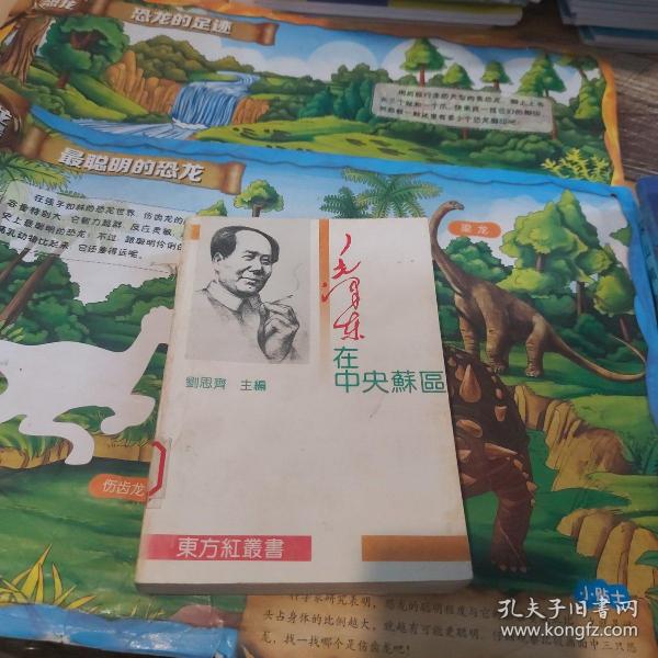 毛泽东在中央苏区 一版一印 馆藏本