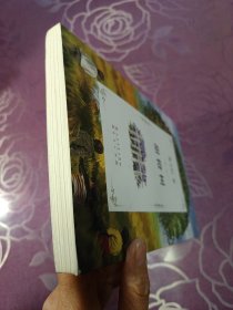 曹文轩文集：甜橙树
