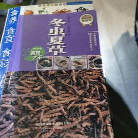 餐桌上的中药：冬虫夏草