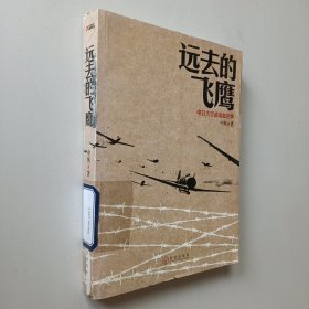 远去的飞鹰：中日大空战浴血往事