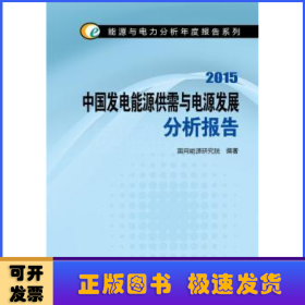 中国发电能源供需与电源发展分析报告