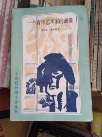 一个青年艺术家的画像
