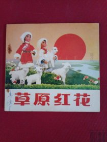 【草原红花】