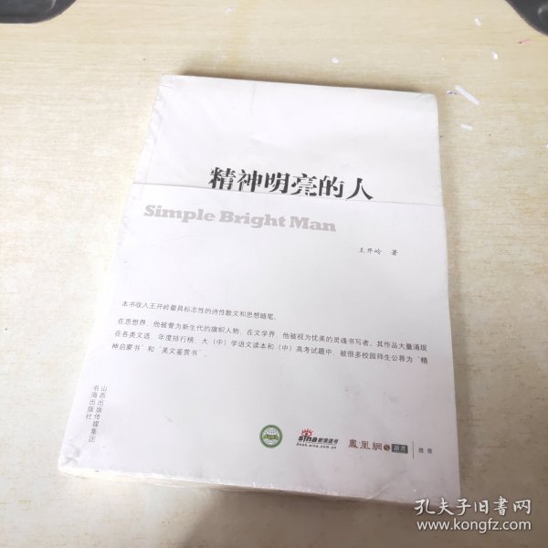 精神明亮的人:王开岭散文随笔自选集