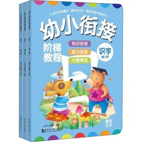幼小衔接阶梯教程 识字 第1-3阶(3册)