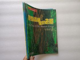 美妙的大自然系列·中英文双语版：原始森林里的老树 +蒲公英种子的旅行 + 香蒲的邻居    3本合售