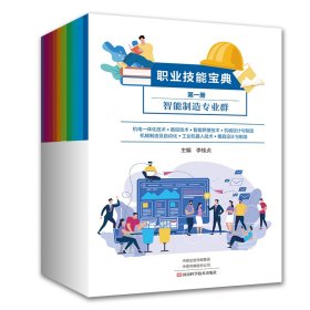 職業(yè)技能寶典（全10冊(cè)）