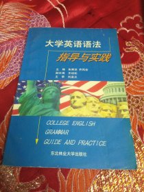 大学英语语法指导与实践