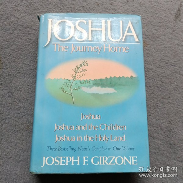 JOSHUA THE JOURNEY HOME 书有水印 品相如图 避免争议