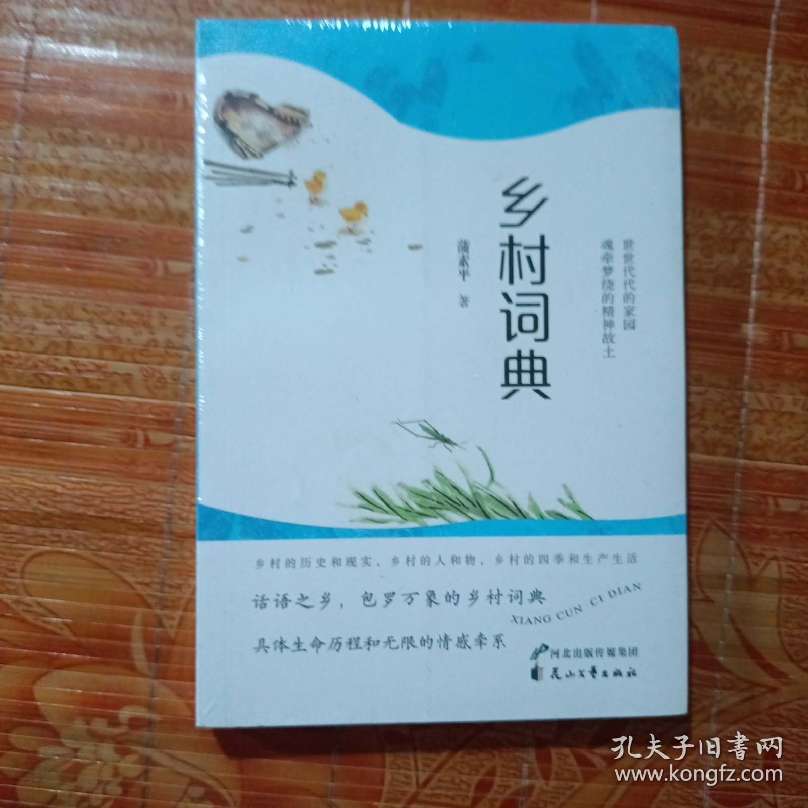 点击查看原图 乡村词典