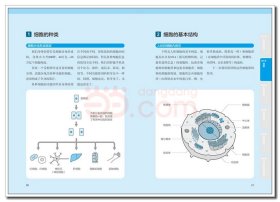 漫画基础医学：读懂解剖生理学 （日）林洋 著；刘芷佚，刘福水，刘乃刚 译 中国轻工业出版社 沿海书店