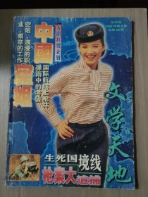 文学天地1996年第6期