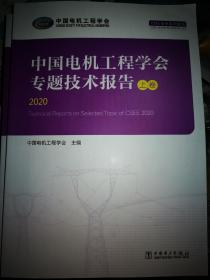 中国电机工程学会专题技术报告2020上下卷三卷缺中卷