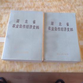 湖北省农业合作经济史料(上下)2册全