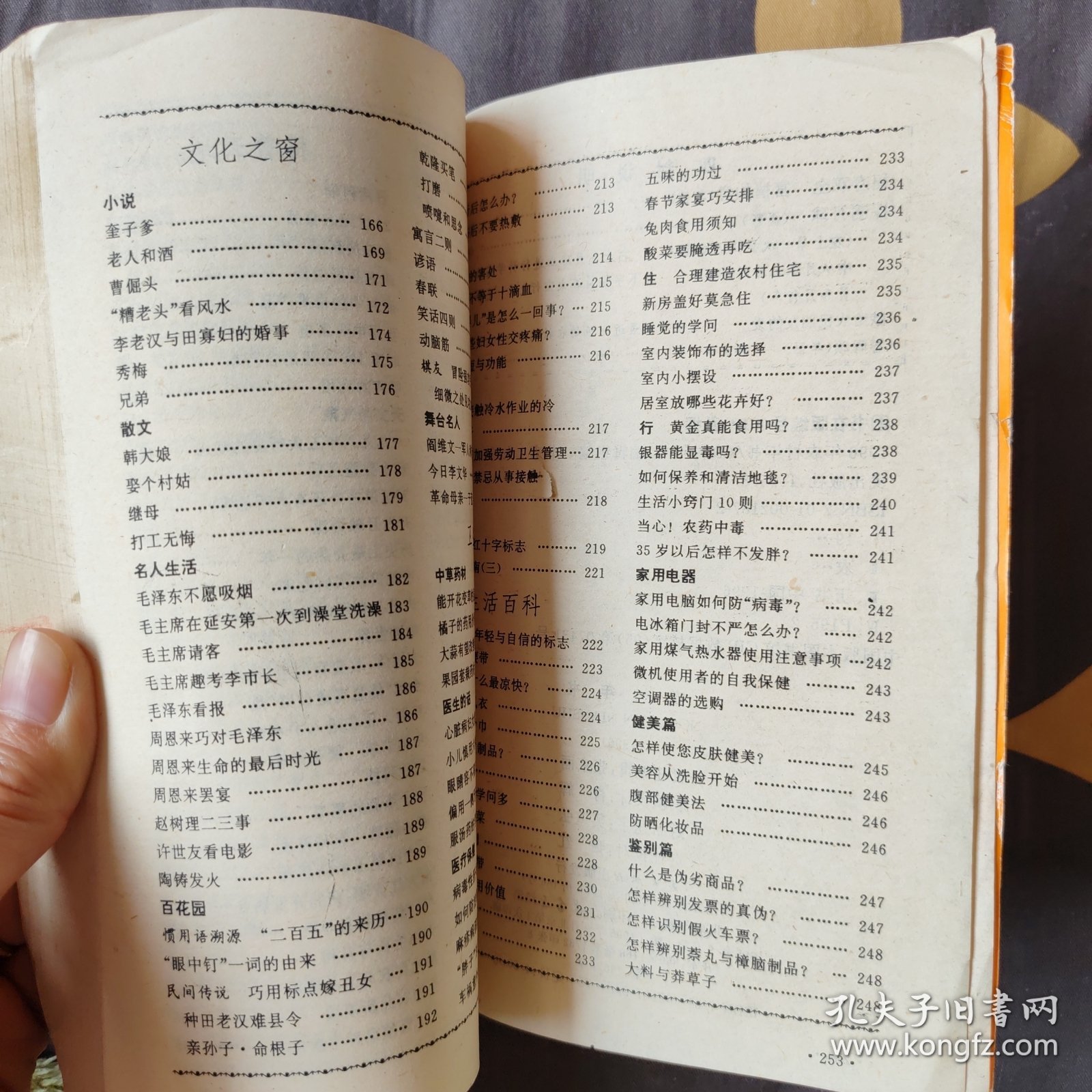 农村年书