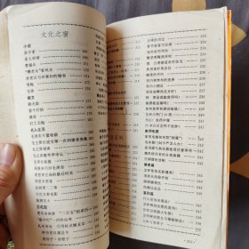 农村年书