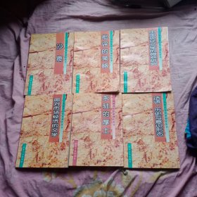 山西青年作家創(chuàng)作叢書（沙痕 ， 批評(píng)的策略， 中國(guó)現(xiàn)代文學(xué)的微觀研究，面對(duì)市場(chǎng)經(jīng)濟(jì)的文學(xué)，永駐的厚土，話語歷史與意識(shí)形態(tài))6本合售