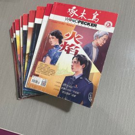 啄木鸟 2021年11本合售