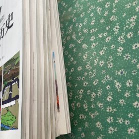 写给儿童的中国历史7-14本 合售