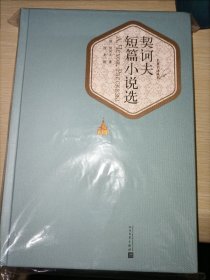 名著名译丛书：契诃夫短篇小说选