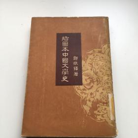 插图本中国文学史 4