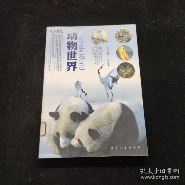 动物世界