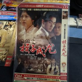 全新未拆封二碟装DVD完整版《换子成龙》杨洁玖，黄文豪