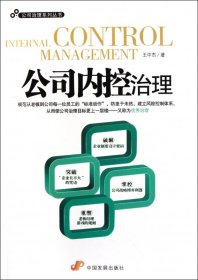 公司内控治理/公司治理系列丛书