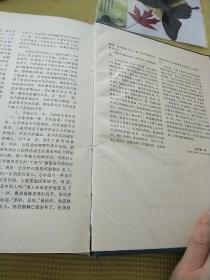 中国新文艺大系
1976至1982
少数民族文学集