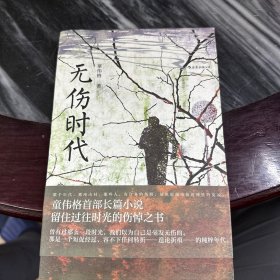 无伤时代（童伟格首部长篇小说）