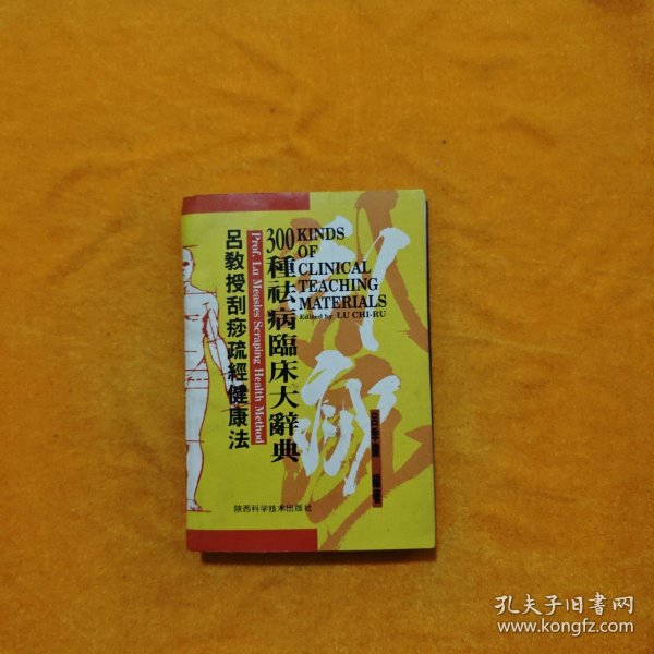 吕教授刮痧疏经健康法——300种祛病临床大辞典