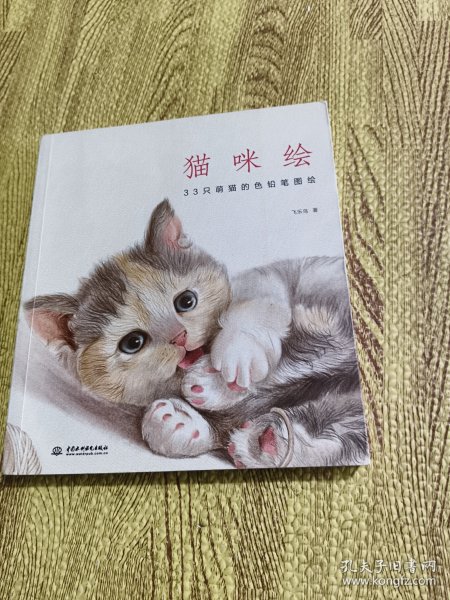 猫咪绘：33只萌猫的色铅笔图绘