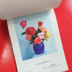 年历缩样 1986 32开 50多页 纸张油亮