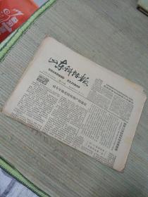 山东科技报1981年 总179