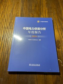 中国电力供需分析 年度报告 2024