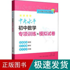 中考水平初中数学专项训练与模拟试卷