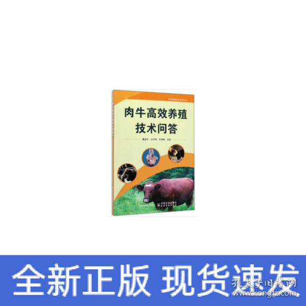 肉牛高效养殖技术问答