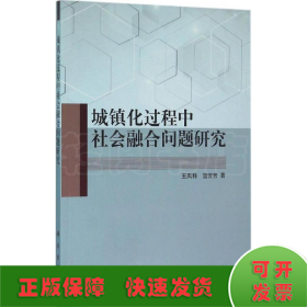 城镇化过程中社会融合问题研究