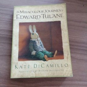 The Miraculous Journey of EDWARD TULANE