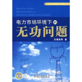 电力市场环境下的无功问题文福拴　等著中国电力出版社