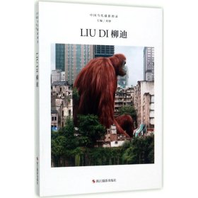 中国当代摄影图录
